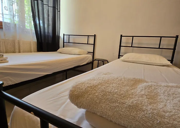 Z * Βουκουρέστι